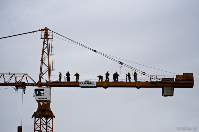 crane gang