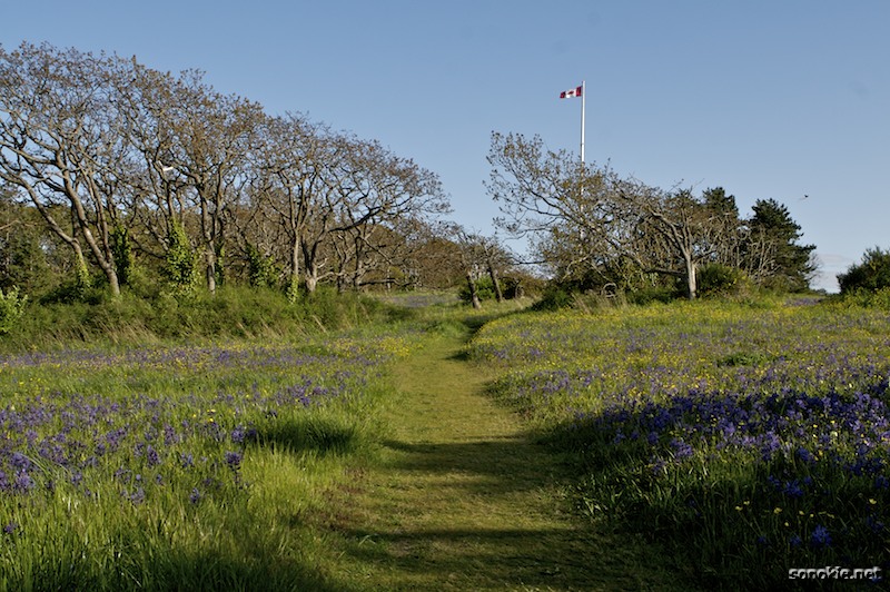 path