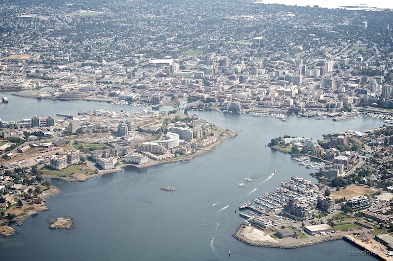 victoria harbour from above