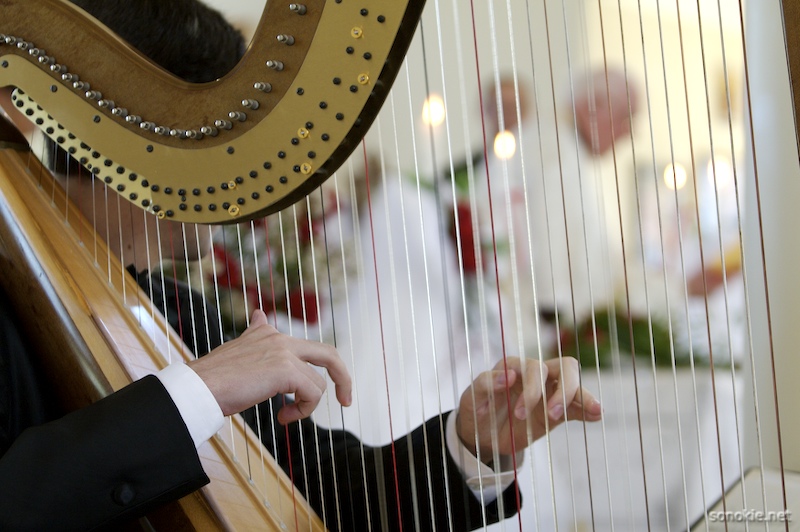 harp strings