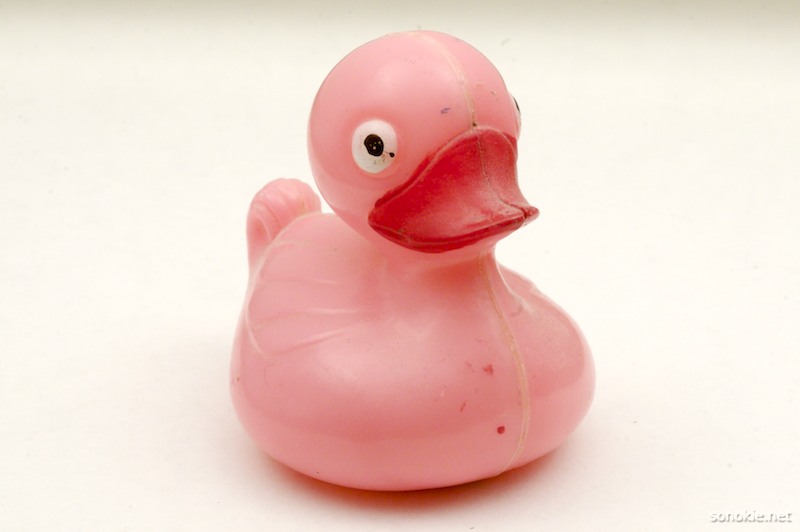 pink duck