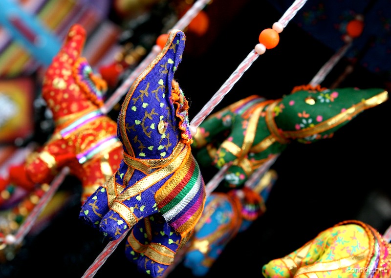 colourful elephants