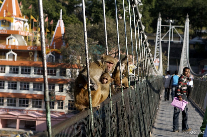 lakshman jhula